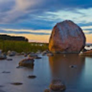 Meet your Posher, Antino